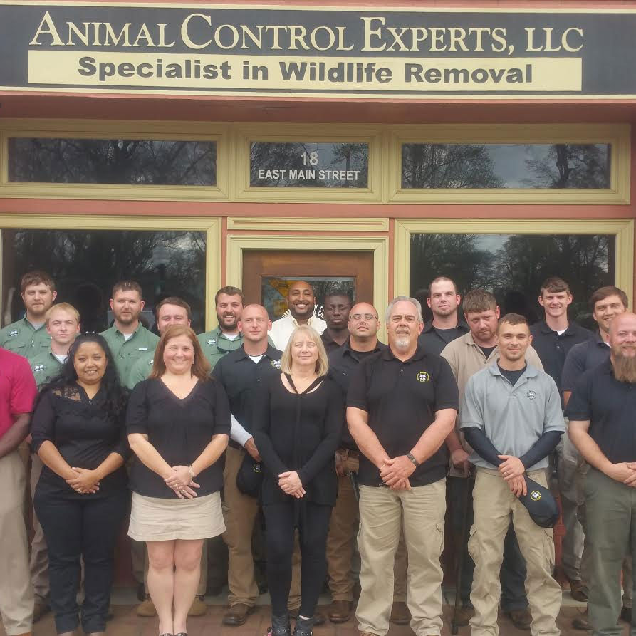 Animal Control Experts Team